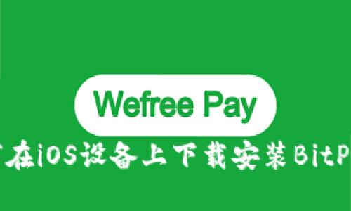 如何在iOS设备上下载安装BitP钱包