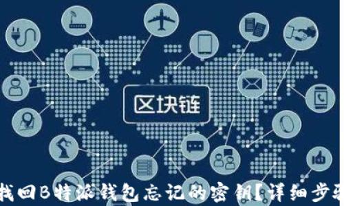 
如何找回B特派钱包忘记的密钥？详细步骤解析