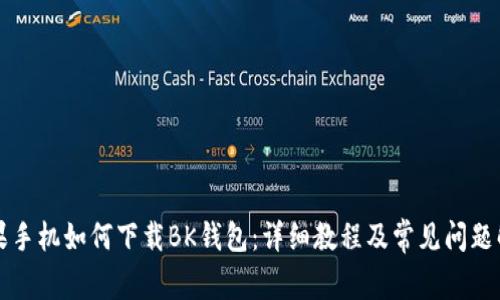 苹果手机如何下载BK钱包：详细教程及常见问题解答