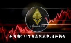: 如何在BitP下载最新版本