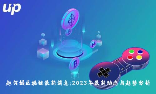 赵何娟区块链最新消息：2023年最新动态与趋势分析
