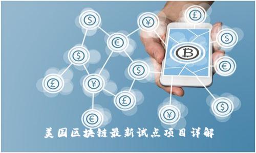 美国区块链最新试点项目详解
