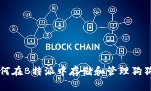 如何在B特派中存储和管理狗狗币