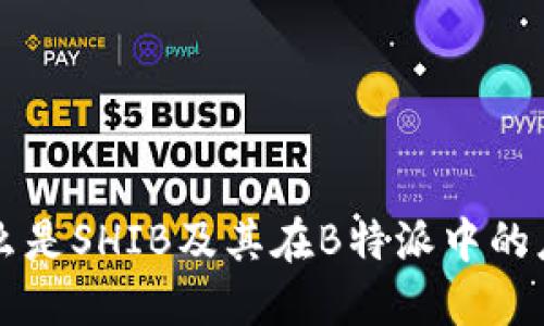 什么是SHIB及其在B特派中的应用