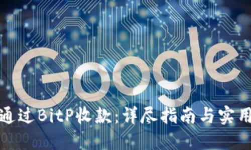 如何通过BitP收款：详尽指南与实用技巧