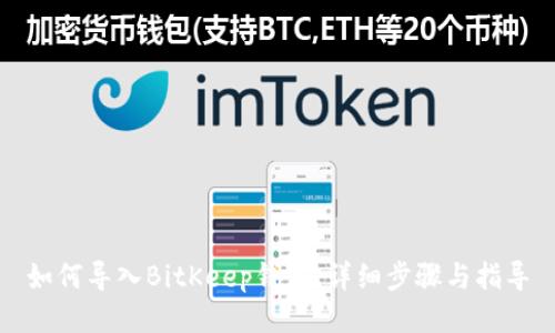 如何导入BitKeep钱包：详细步骤与指导