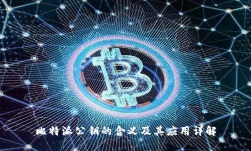比特派公钥的含义及其应用详解