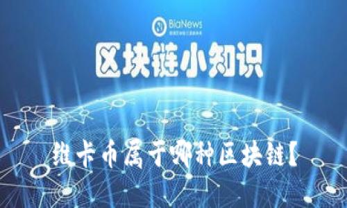 维卡币属于哪种区块链？