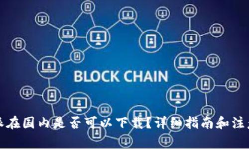 比特派在国内是否可以下载？详细指南和注意事项