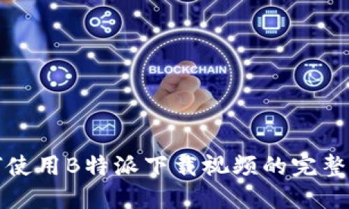 如何使用B特派下载视频的完整指南