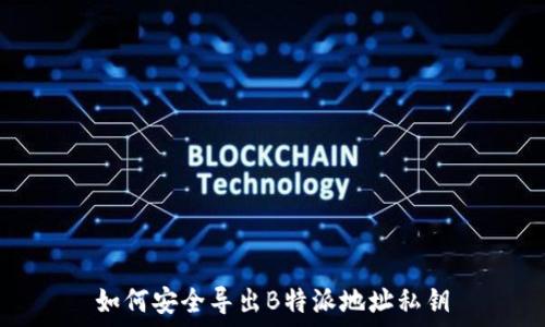    
如何安全导出B特派地址私钥