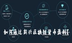 如何通过新兴区块链货币