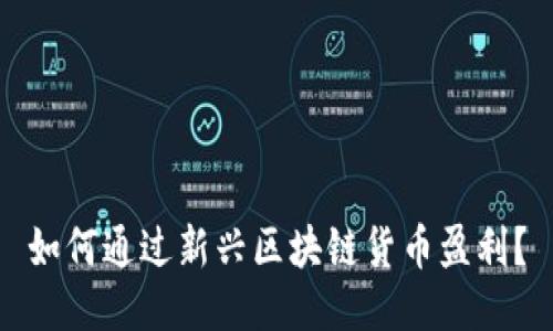 如何通过新兴区块链货币盈利？