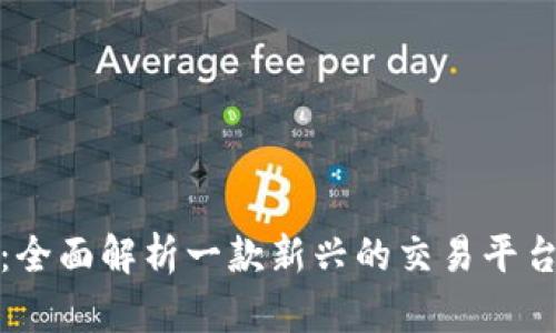 BitP：全面解析一款新兴的交易平台软件