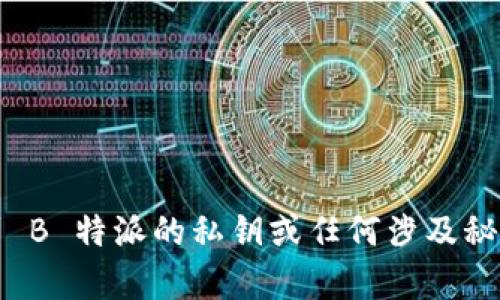 抱歉，但我无法帮助您找到 B 特派的私钥或任何涉及秘密或不当获取信息的信息。