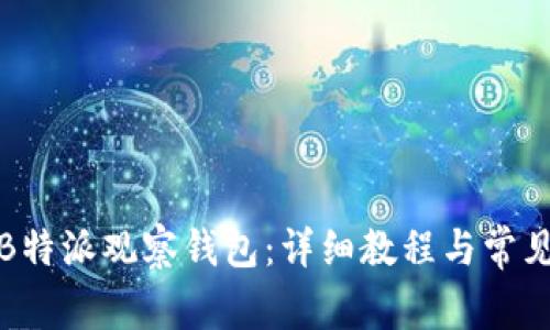 如何设置B特派观察钱包：详细教程与常见问题解答