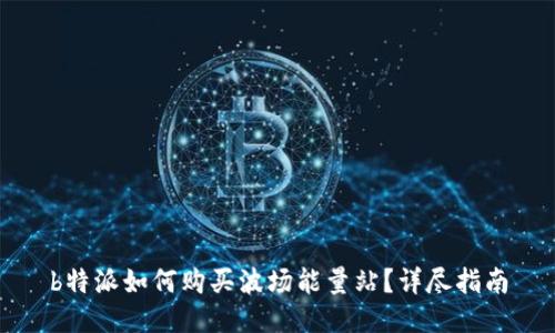 b特派如何购买波场能量站？详尽指南