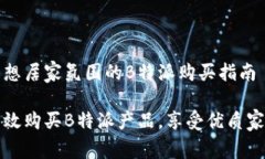 打造理想居家氛围的B特派