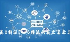 什么是B特派？- B特派的英