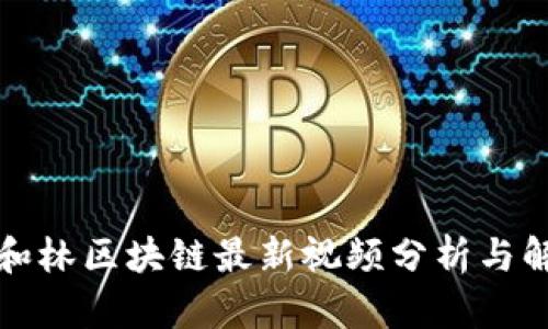 盘和林区块链最新视频分析与解读