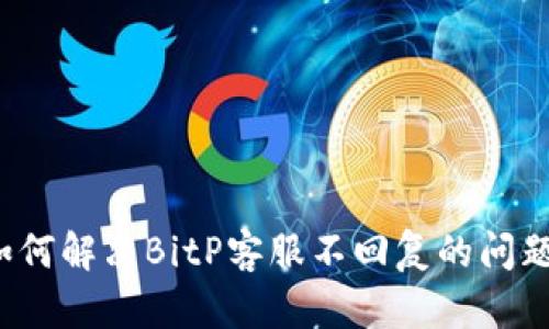 如何解决BitP客服不回复的问题？
