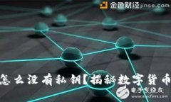 : 比特派钱包怎么没有私钥？揭秘数字货币钱包的