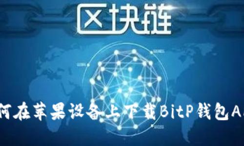 如何在苹果设备上下载BitP钱包APP？