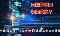 比特派钱包用不了怎么回事？原因及解决办法详