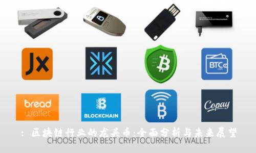 : 区块链行业的龙头币：全面分析与未来展望