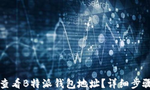 
如何查看B特派钱包地址？详细步骤指南