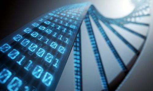 

数字币区块链龙头股票推荐与分析