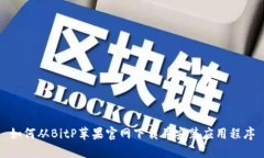 如何从BitP苹果官网下载并安装应用程序