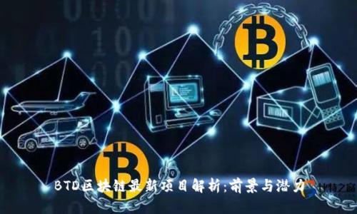 BTD区块链最新项目解析：前景与潜力