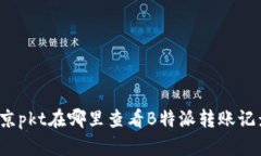 北京pkt在哪里查看B特派转